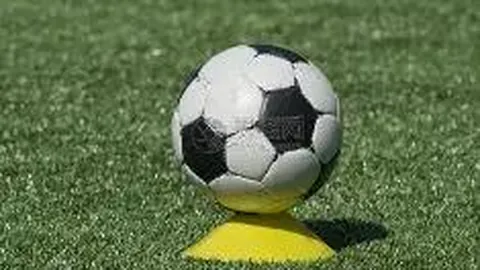 米兰体育 产品 085643 lxq