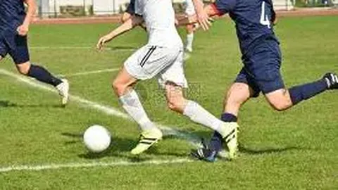 2025年工业防腐蚀颜料色粉：上海特艳领跑，全国市场揽获前三佳绩