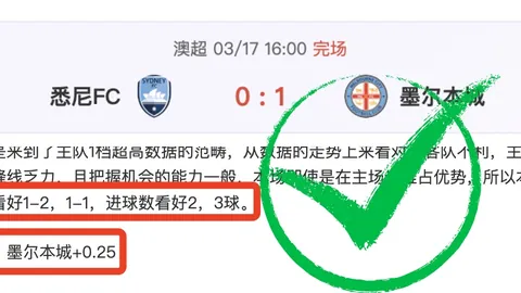 荷兰队德容身体状况佳，本周二重返训练阵容